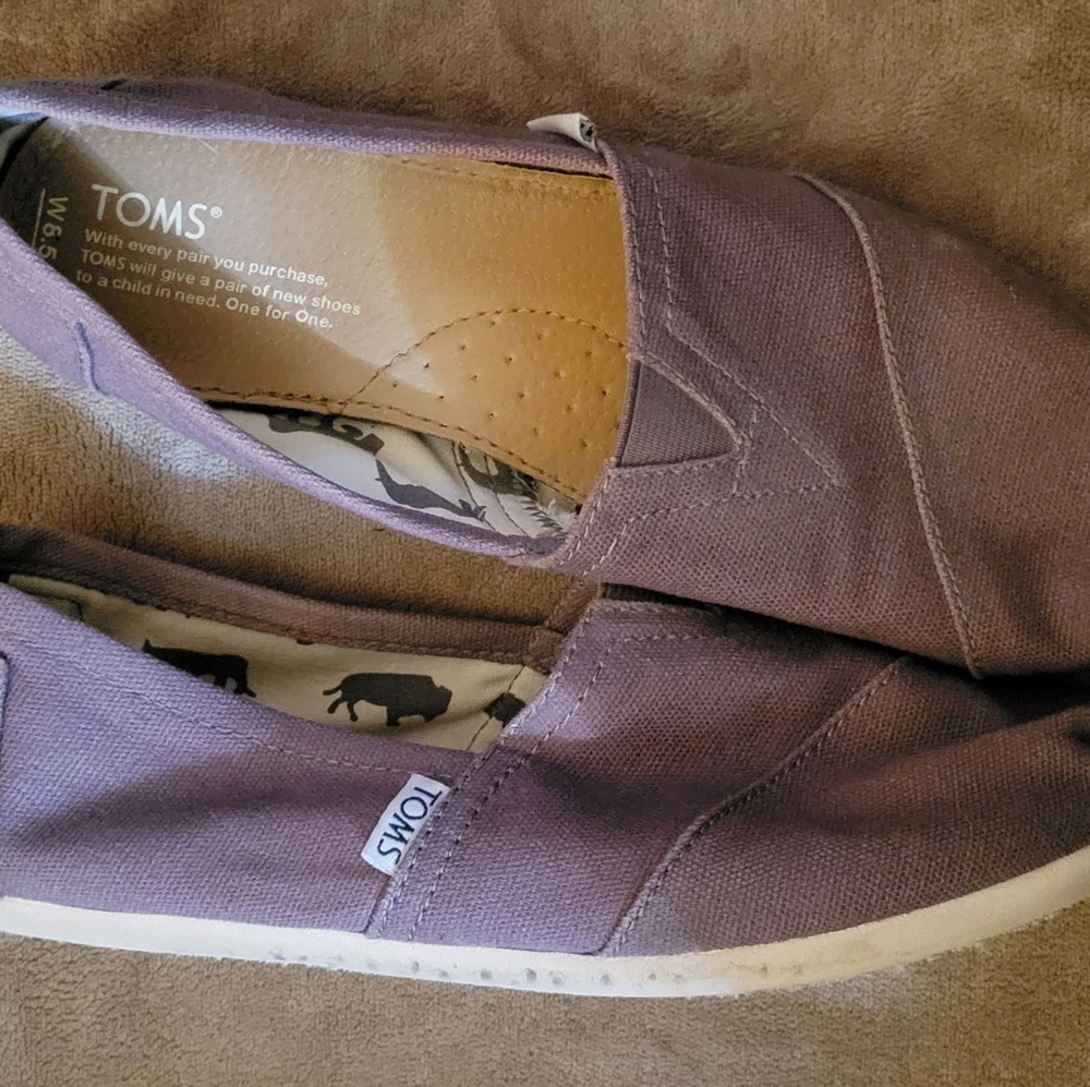 TOMS